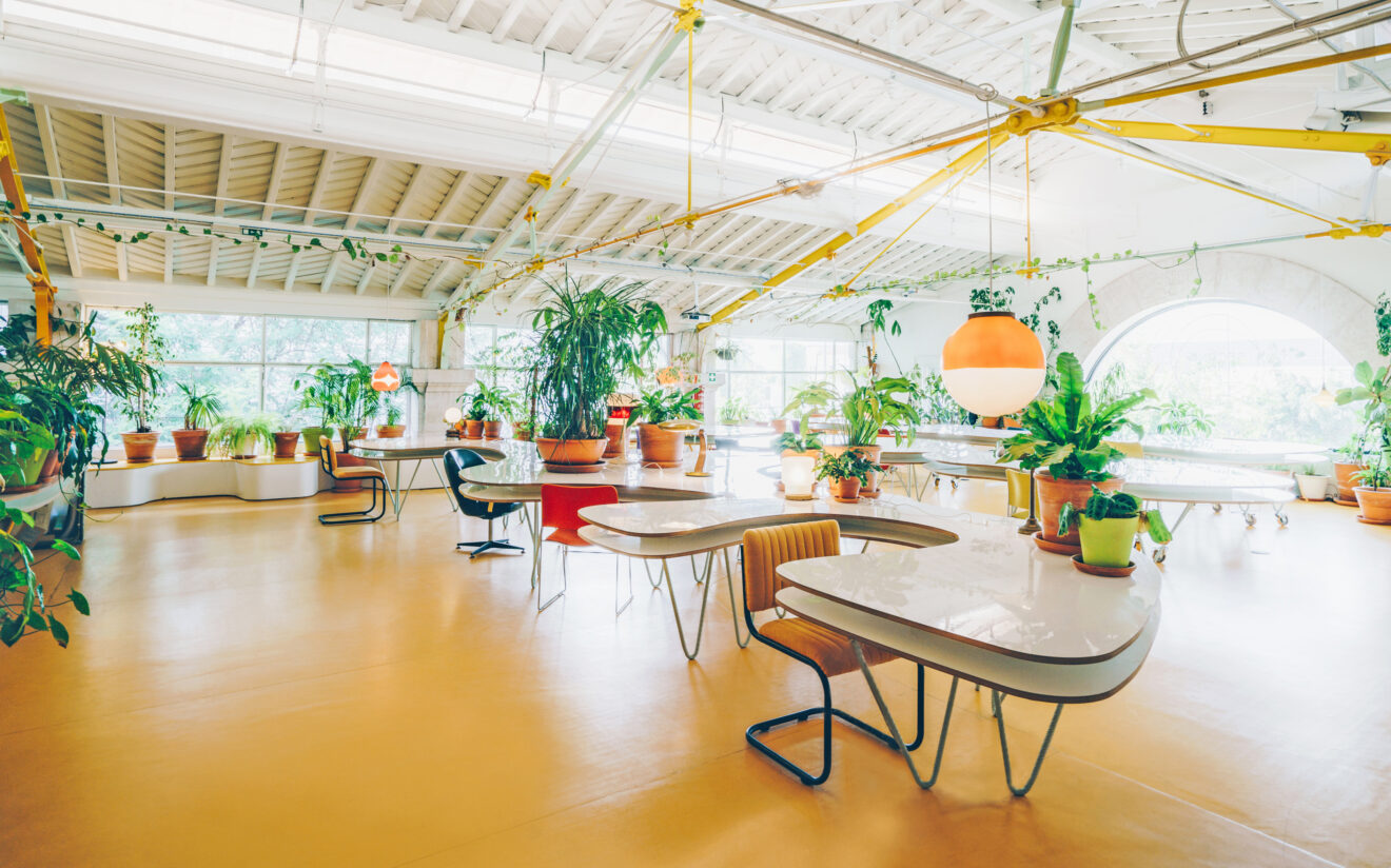 Roaming and flexible coworking desks at Second Home Lisbon. Coworking Day Passes in Lisbon, at Second Home Mercado.