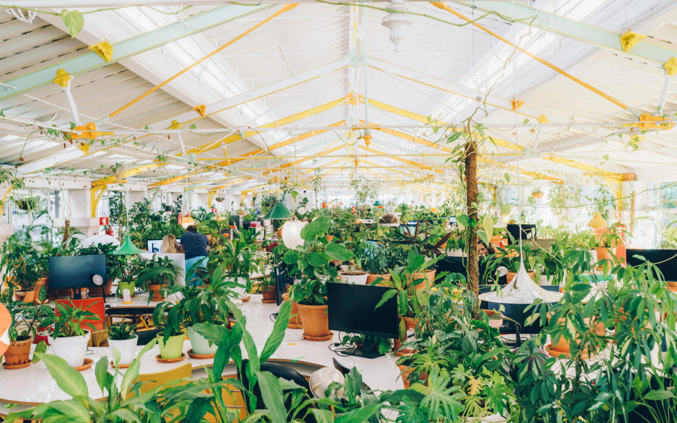 The Resident Desk Floor at Second Home Lisbon, with biophilic and unique design