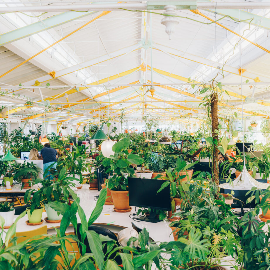 Coworking Space Second Home Lisbon. Hot desking and desks in shared workspaces available.