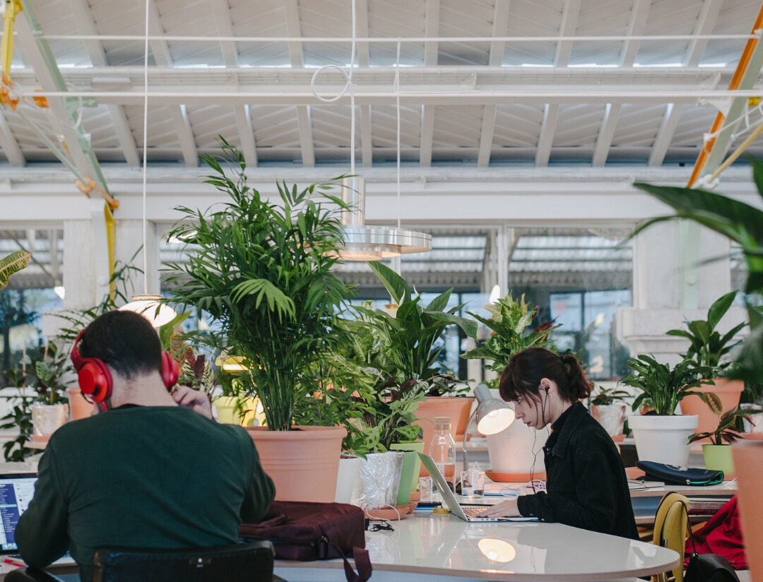 Coworking Space in Lisbon, offering day passes and desks in our shared workspace.